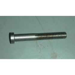 Assembly Screw